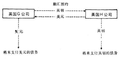 Image:中长期期汇预约的结构.jpg