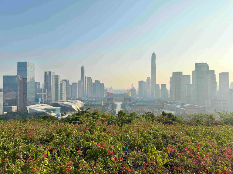 观察｜大湾区低空经济成势 粤产无人机领跑全球产业赛道