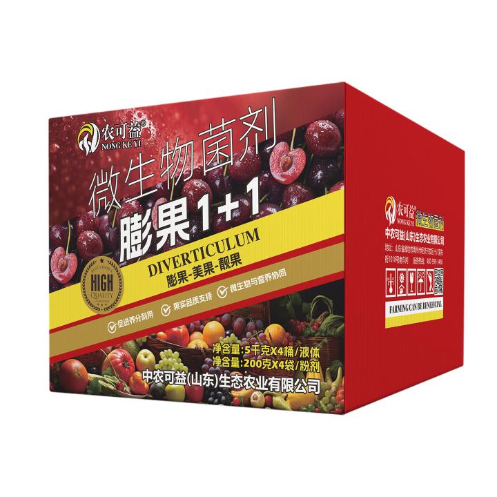 膨果1+1