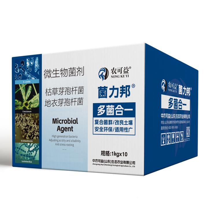 多菌合一箱子白底图
