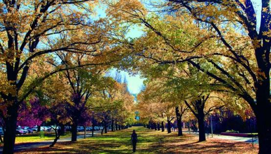 14131114701_70d897d294_b_1