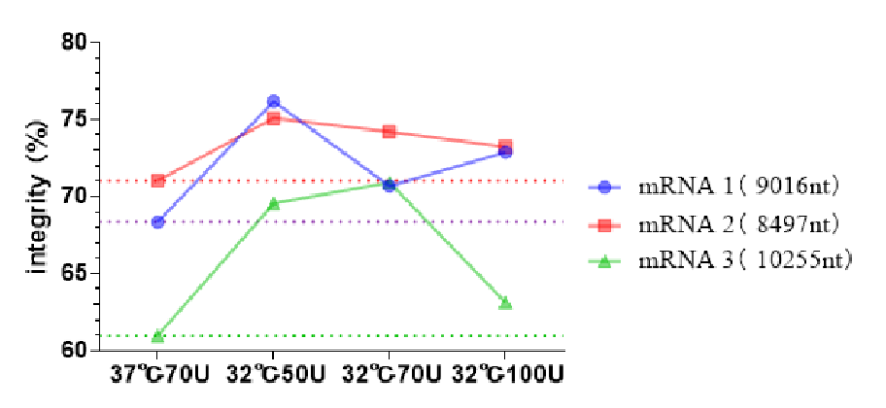 ultra-long fragment RNA