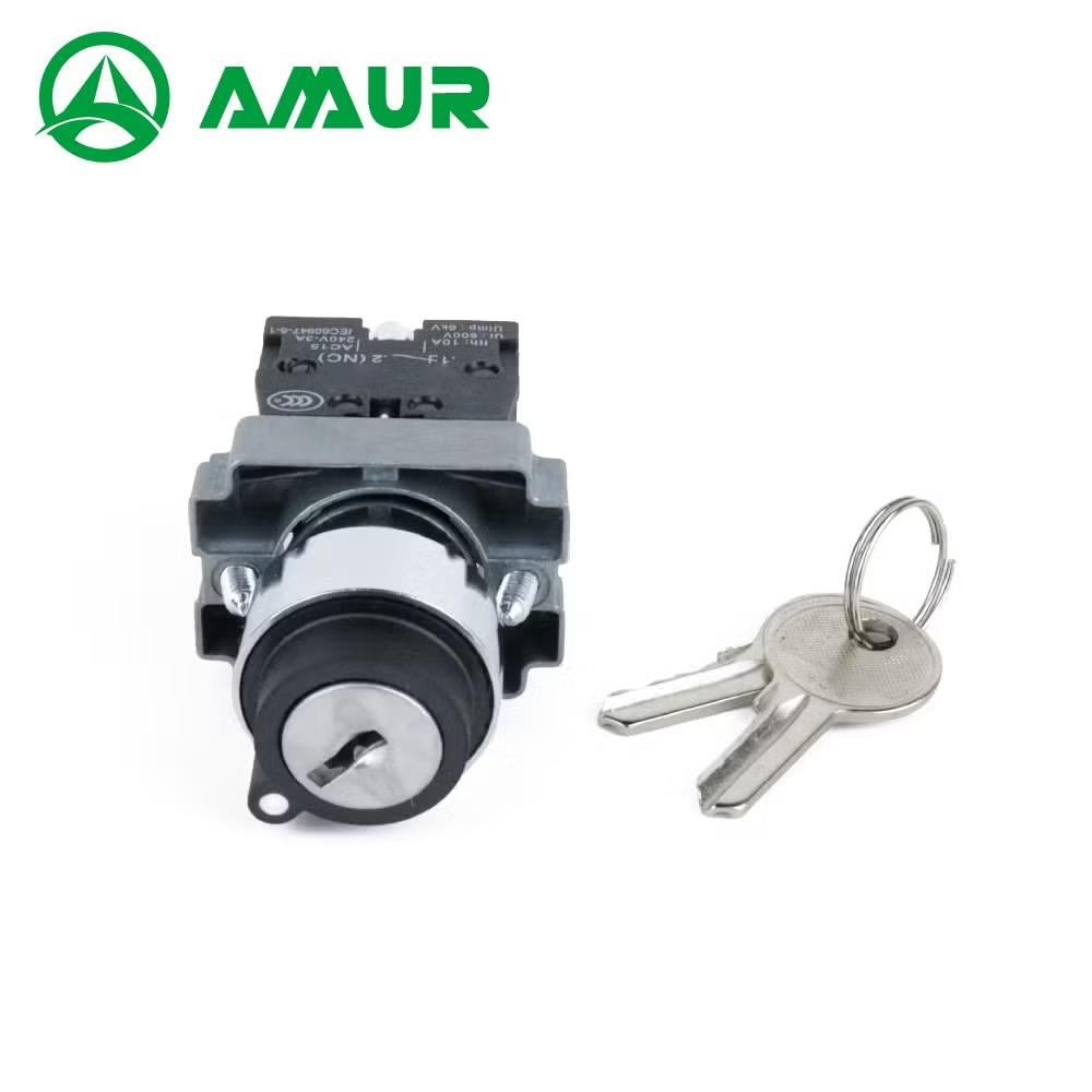 22mm 2 Position or 3 Position Rotary Selector Switch with Key