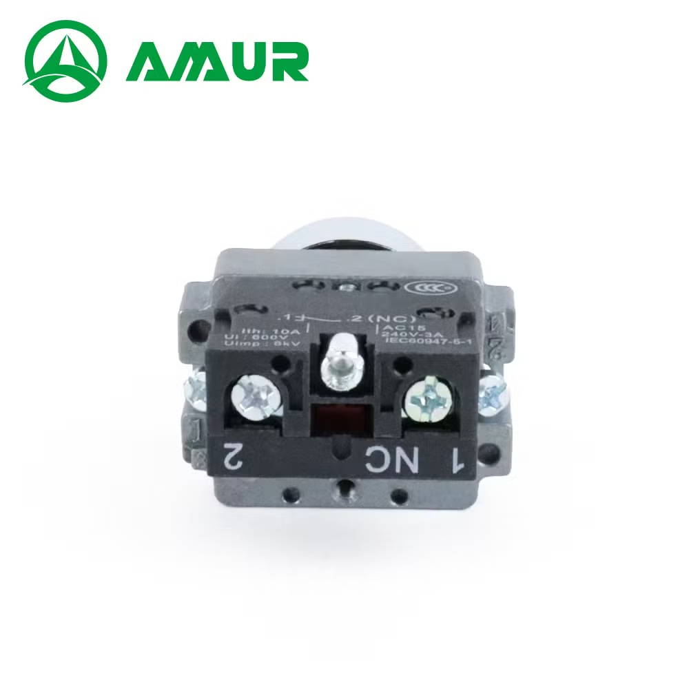 22mm 2 Position or 3 Position Rotary Selector Switch with Key