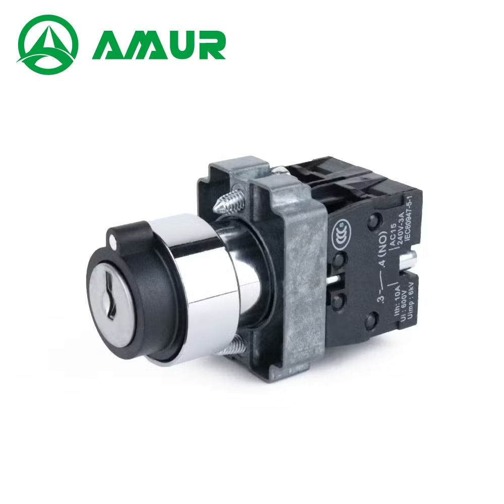 2 Position 3 Position Rotary Selector Switch with Key 10A 600V