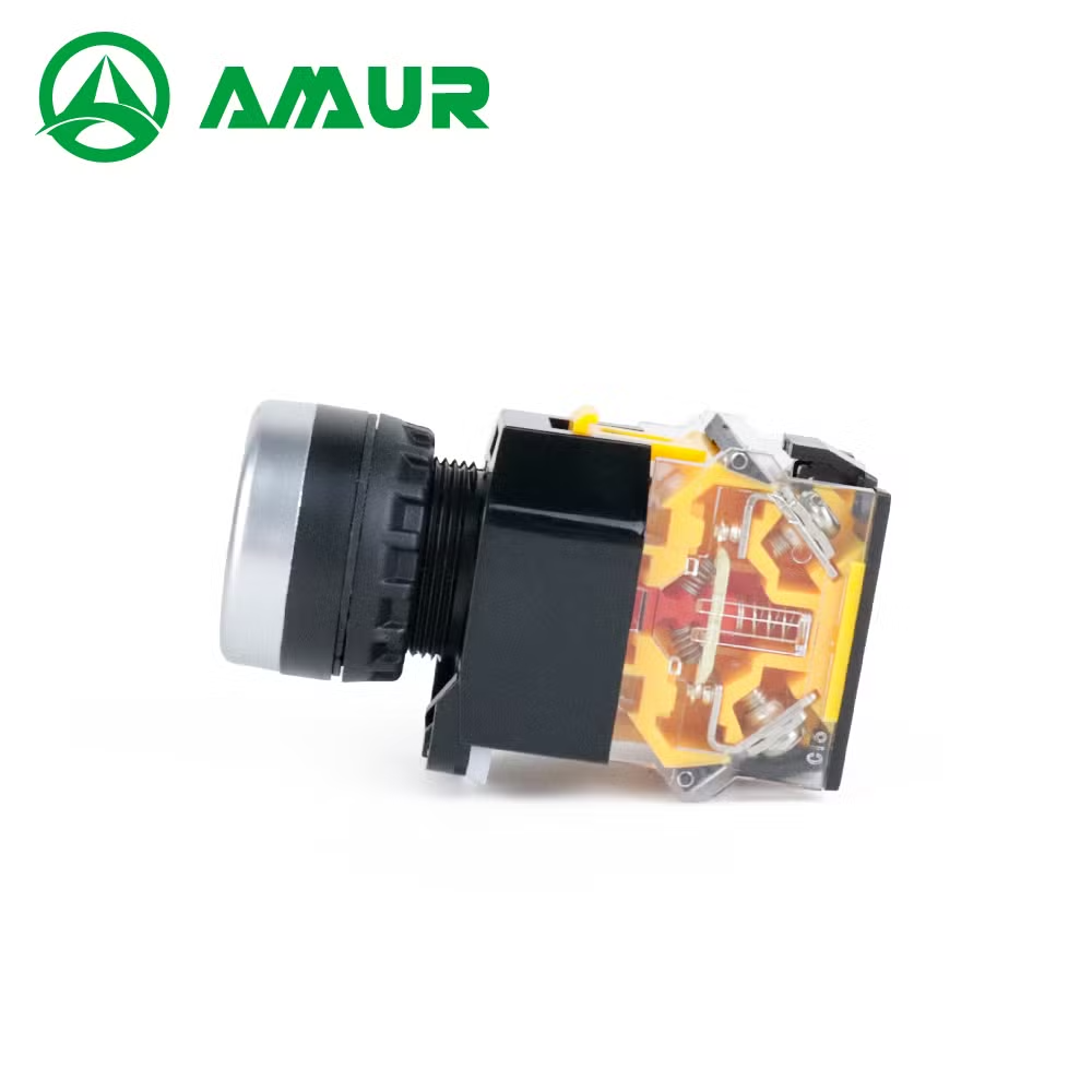 Amur Flat Head Different Color Latching or Momentary Push Button Switch