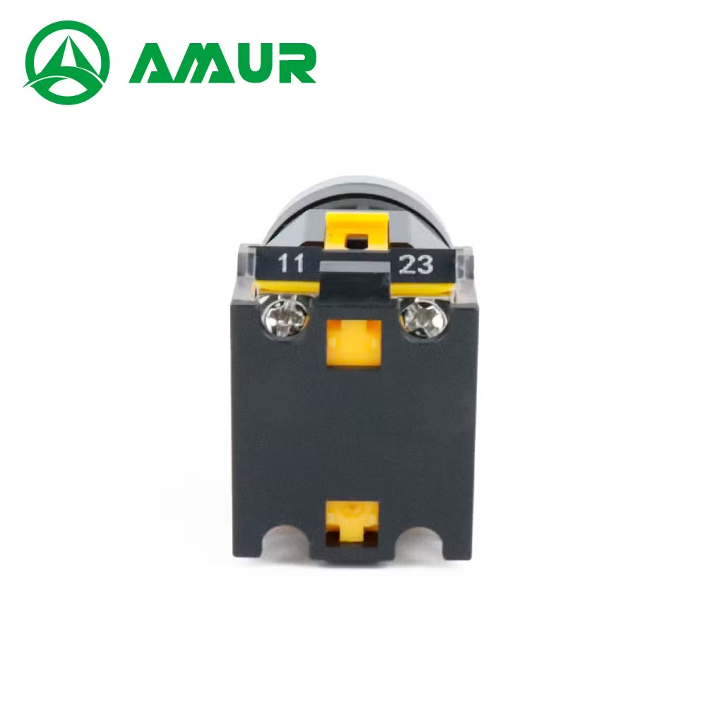 Amur 22mm Flat Head Different Color with LED Push Button Switch