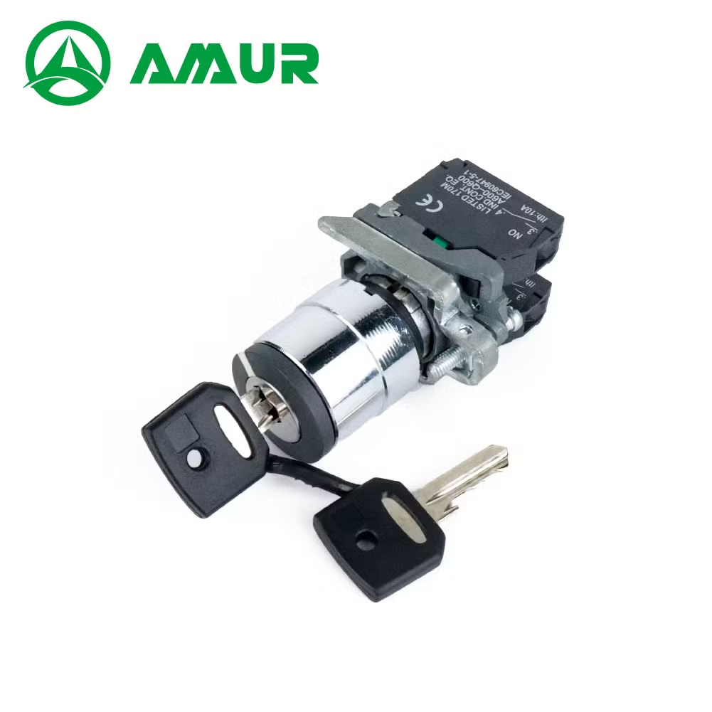 Amur Electrical Switch Keylock 2/3 Position Latching Momentary Push Button Switch