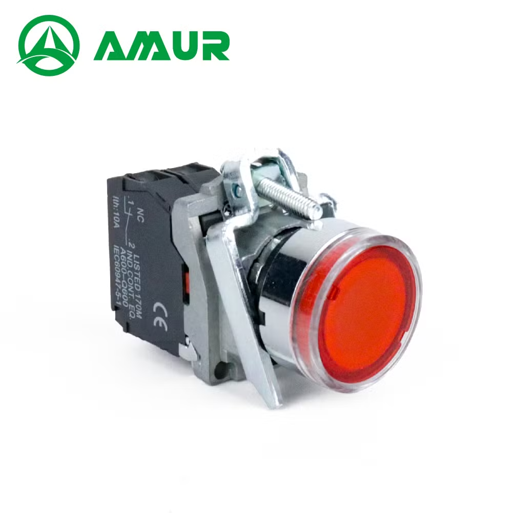 Amur Plastic 22mm Flat Head Red /Green LED Light Push Button Switch