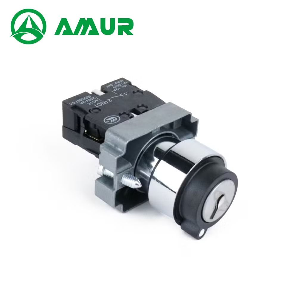 22mm 2 Position or 3 Position Rotary Selector Switch with Key