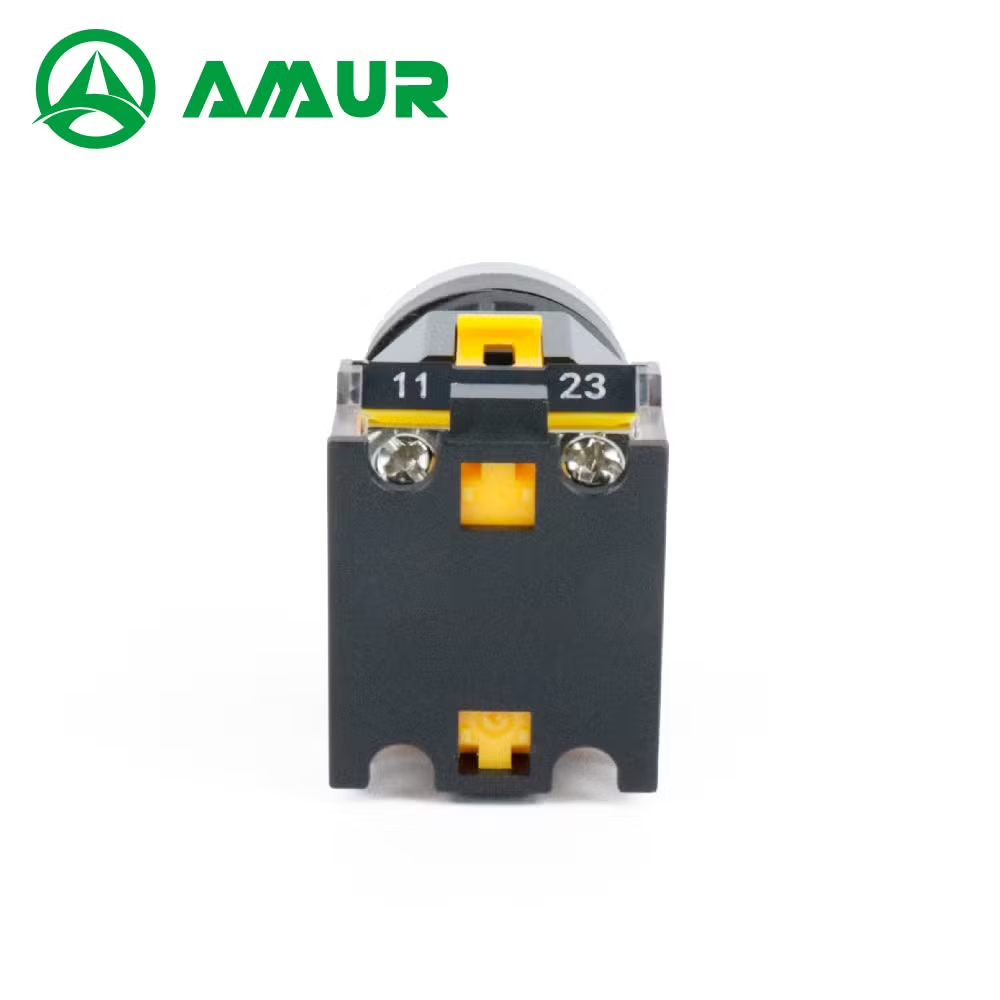 Amur Flat Head Different Color Latching or Momentary Push Button Switch