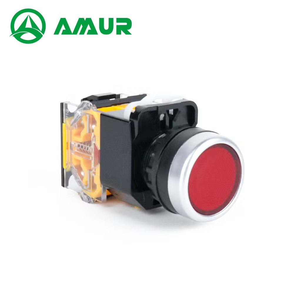 Amur Flat Head Different Color Latching or Momentary Push Button Switch