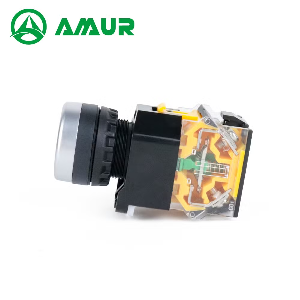 Amur 22mm Latching Momentary Flat Head Push Button Switch with LED