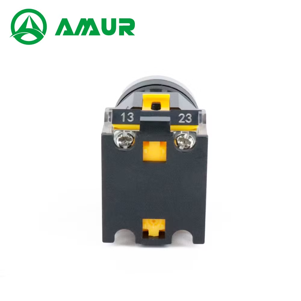 Amur 22mm Latching Momentary Flat Head Push Button Switch with LED