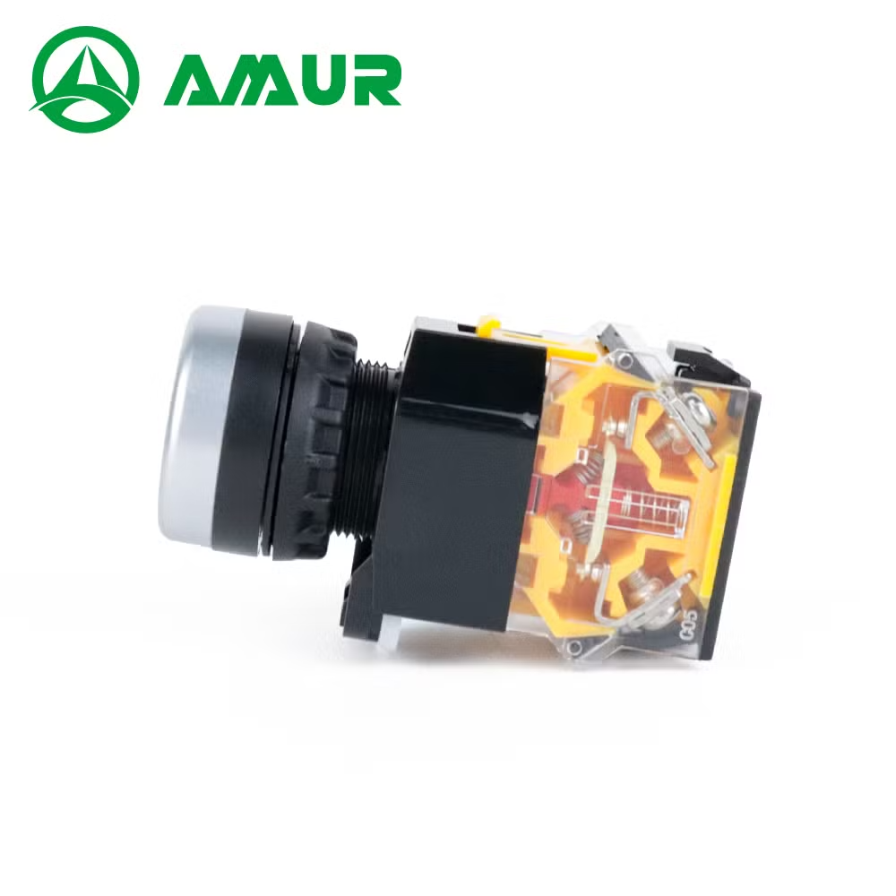 Amur 22mm Flat Head Different Color with LED Push Button Switch