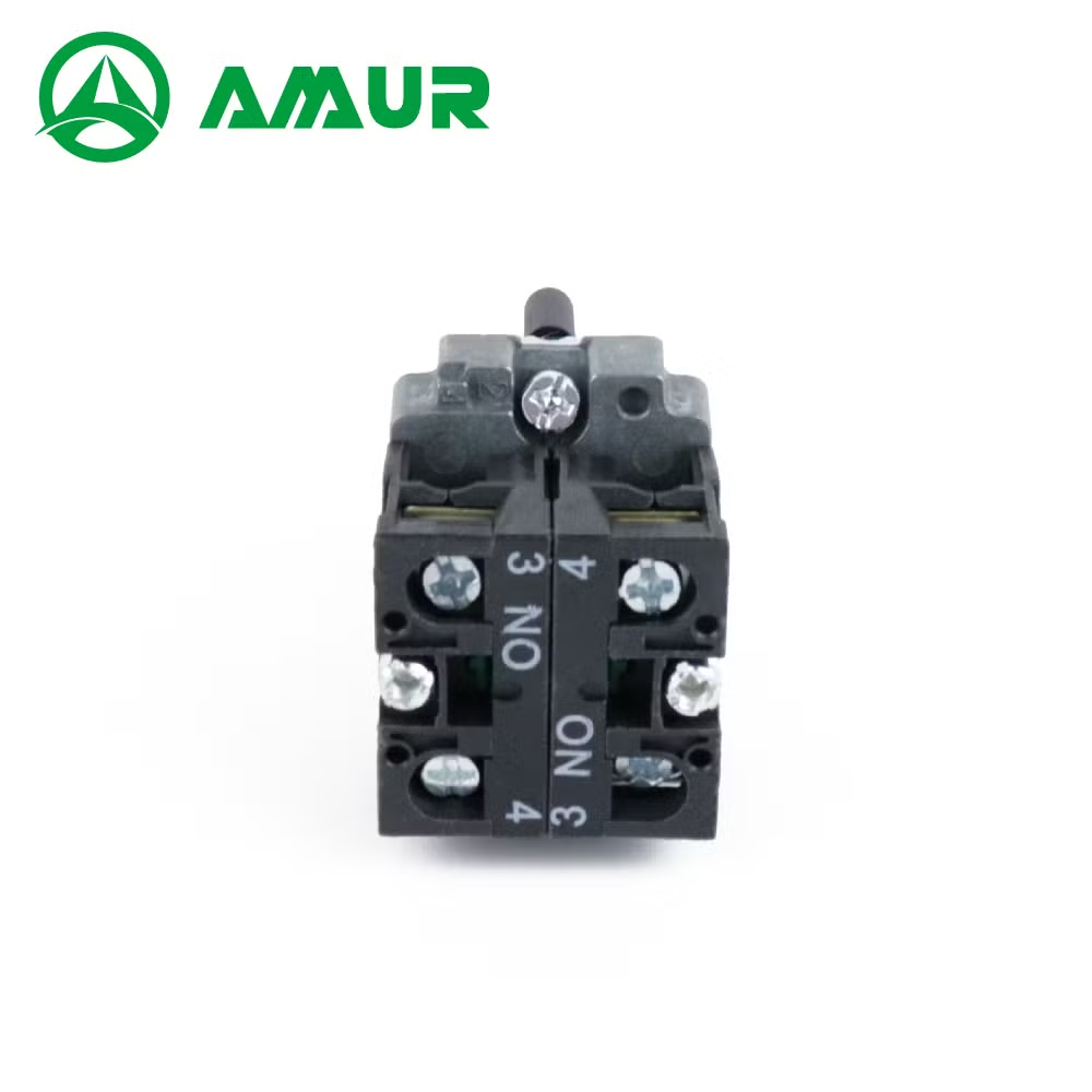 Amur Black Push Button Spring Return 2 Position Selector Rotary Switch