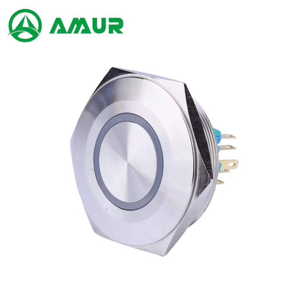 Amur Self-Locking Push Button Waterproof 12V Push Button Switch