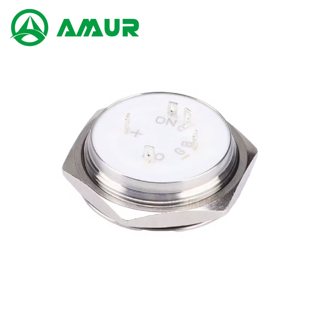 Amur 25mm Short-Type Metal Switch Momentary Stainless Steels Push Button Switch with LED