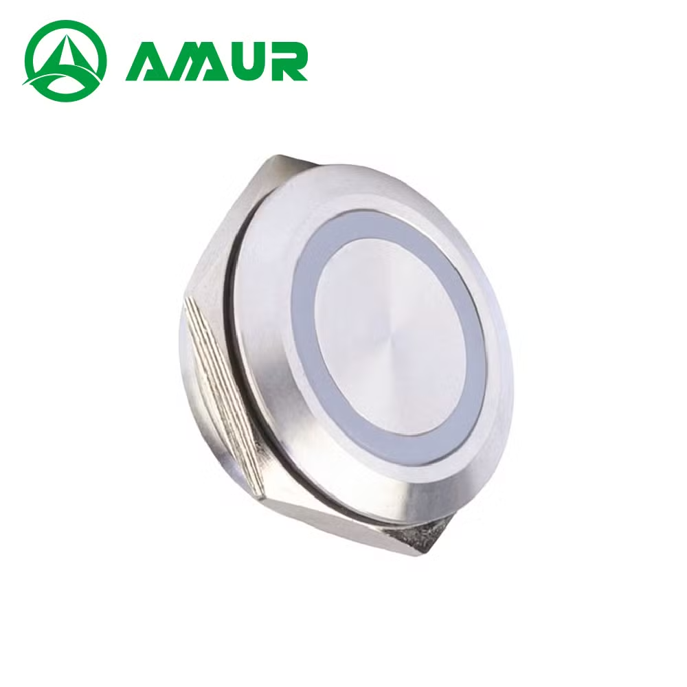 Amur 25mm Short-Type Metal Switch Momentary Stainless Steels Push Button Switch with LED