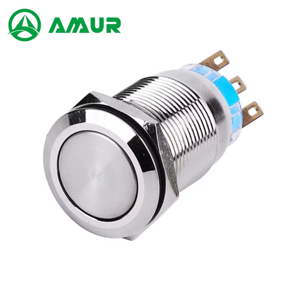 Amur 19mm 1no 1nc Flat Head Momentary Metal Push Button Switch