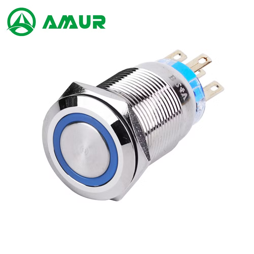 Amur 19mm 1no 1nc Flat Head Momentary Metal Push Button Switch