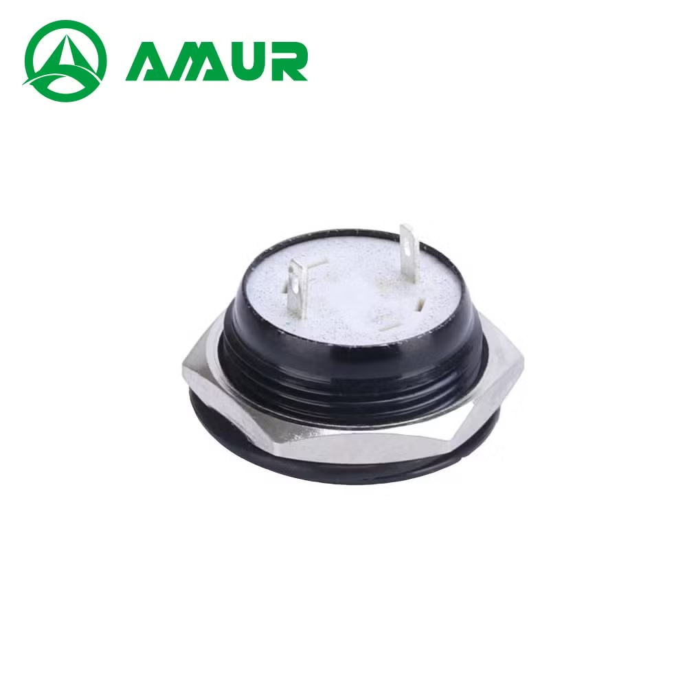 Amur 19mm Ring Illuminate Soldering Terminal 4pin T Metal Momentary Push Button Switch