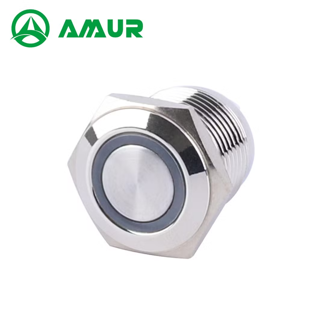 Amur 16mm Waterproof 1no Flat Head with Light Push Button Switch