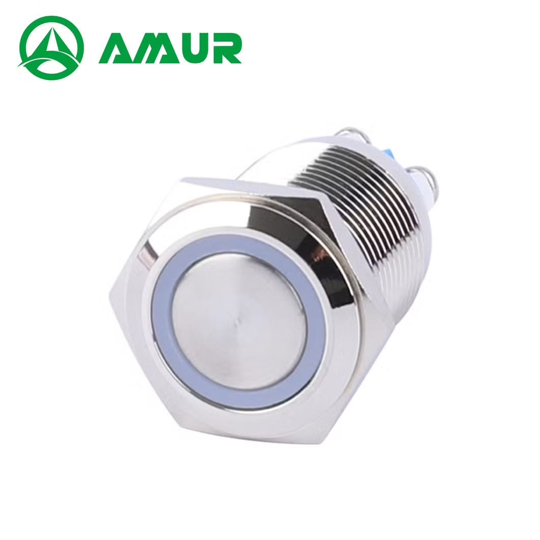 Amur 16mm Waterproof 1no Flat Head with Light Push Button Switch