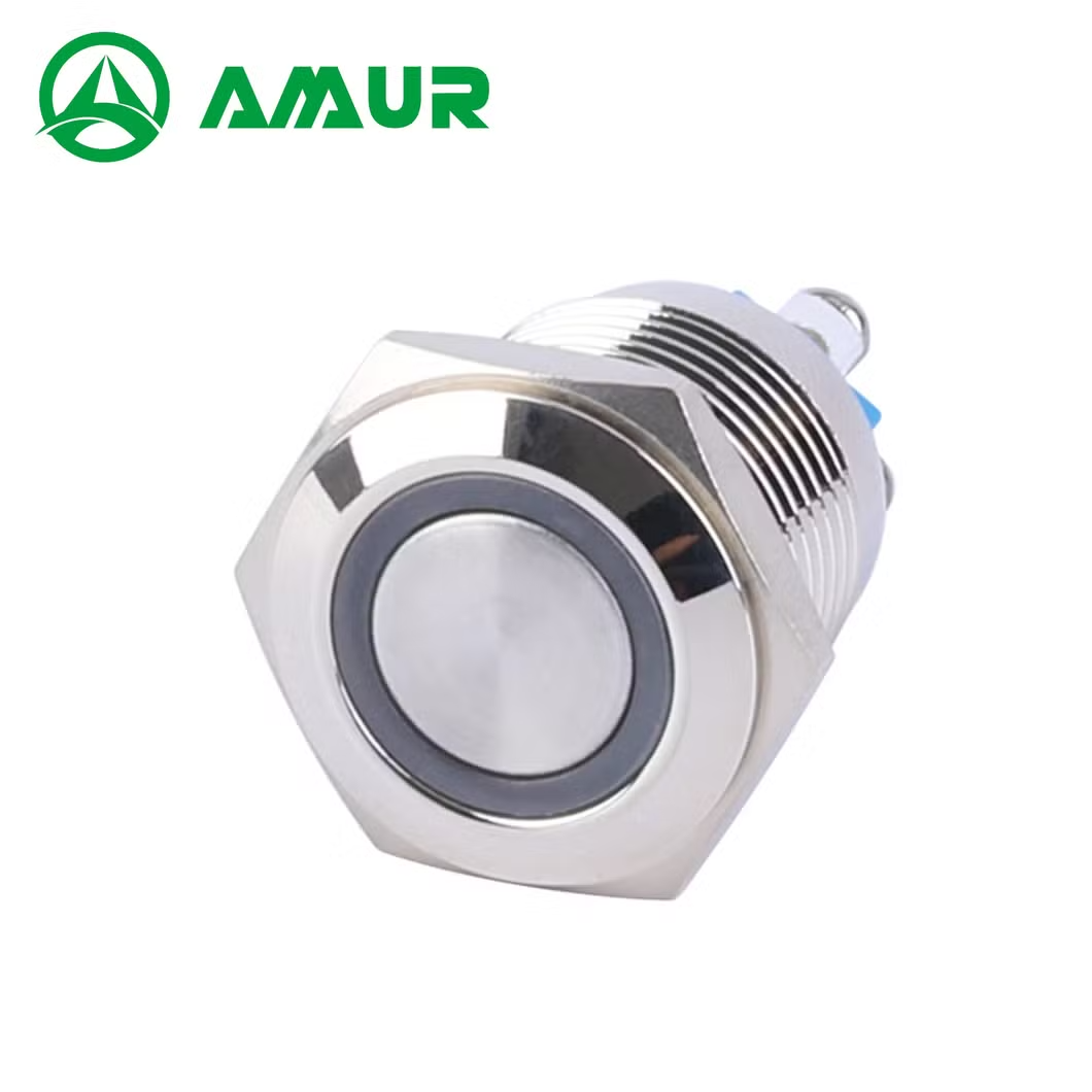 Amur 16mm Waterproof 1no Flat Head with Light Push Button Switch