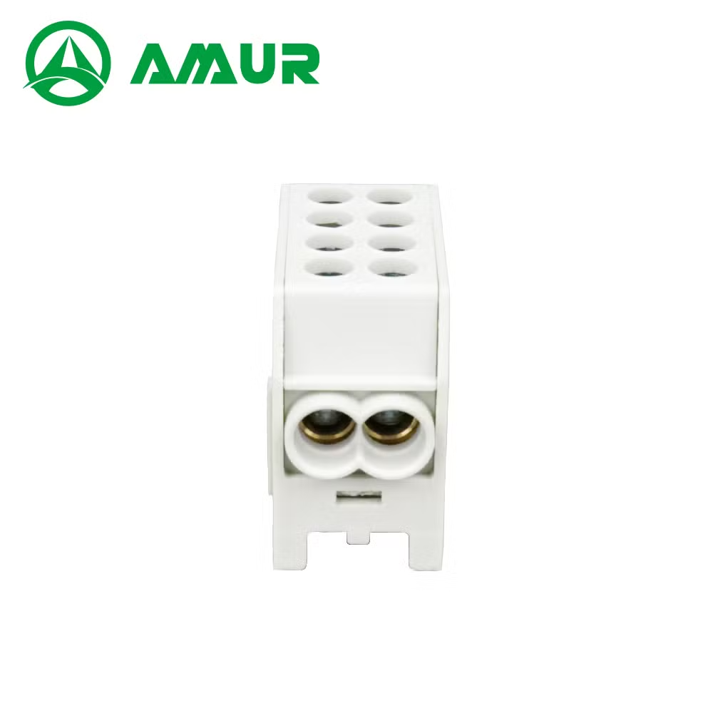 400V 100A 2 Poles Double 2.5-25mm2 Distributor Terminal Block