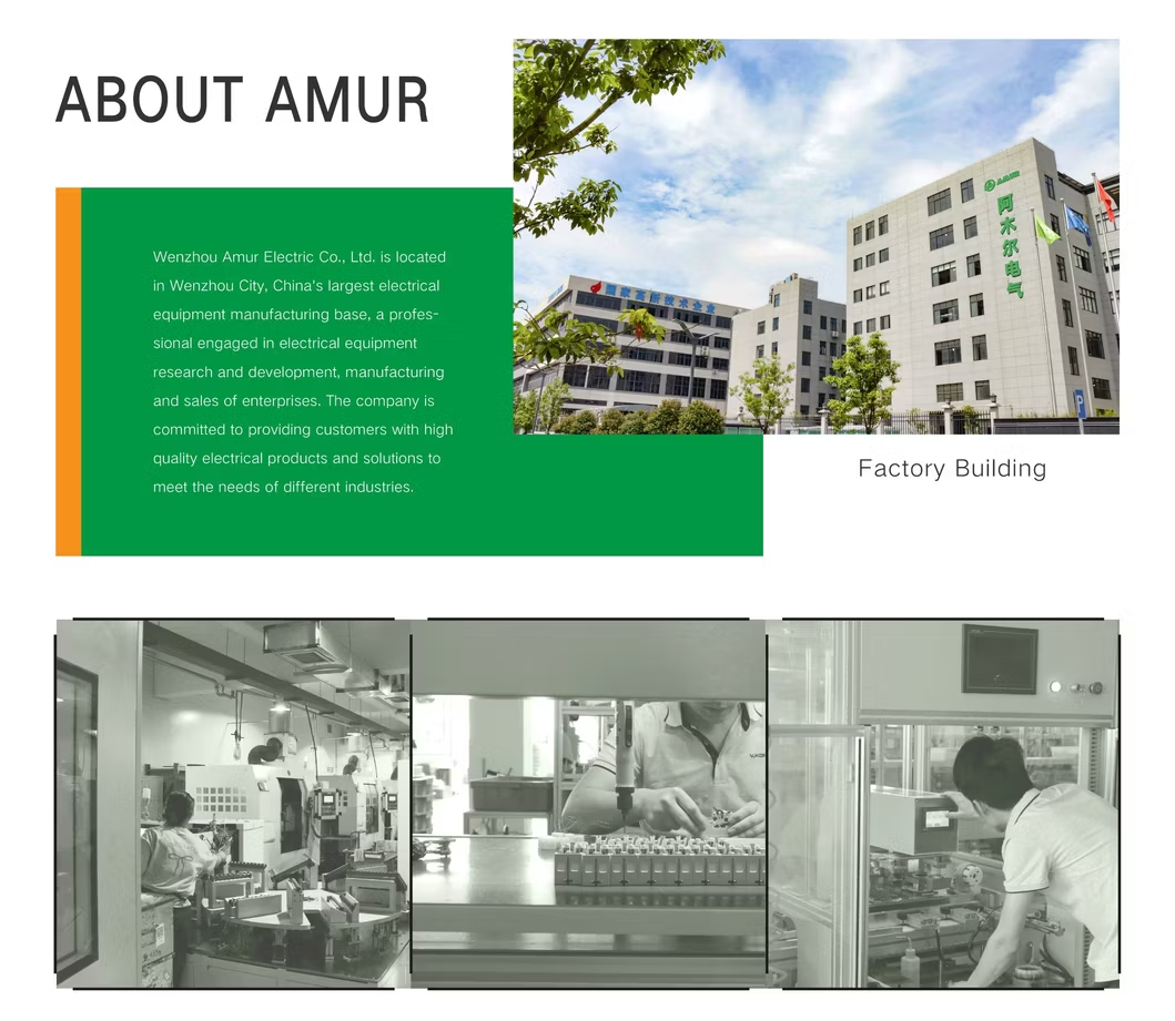 Amur High Quality Afdd-63 1p+N 16A 6ka Afdd with RCCB Combined