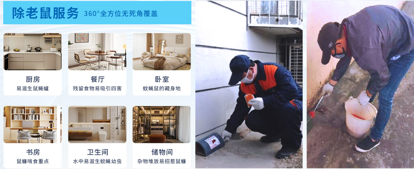 灭老鼠