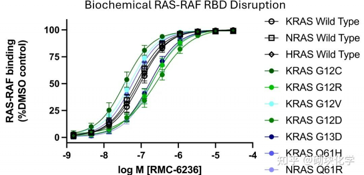 Daraxonrasib（RMC-6236）：从分子设计逻辑到临床转化潜力 - DKM活性分子