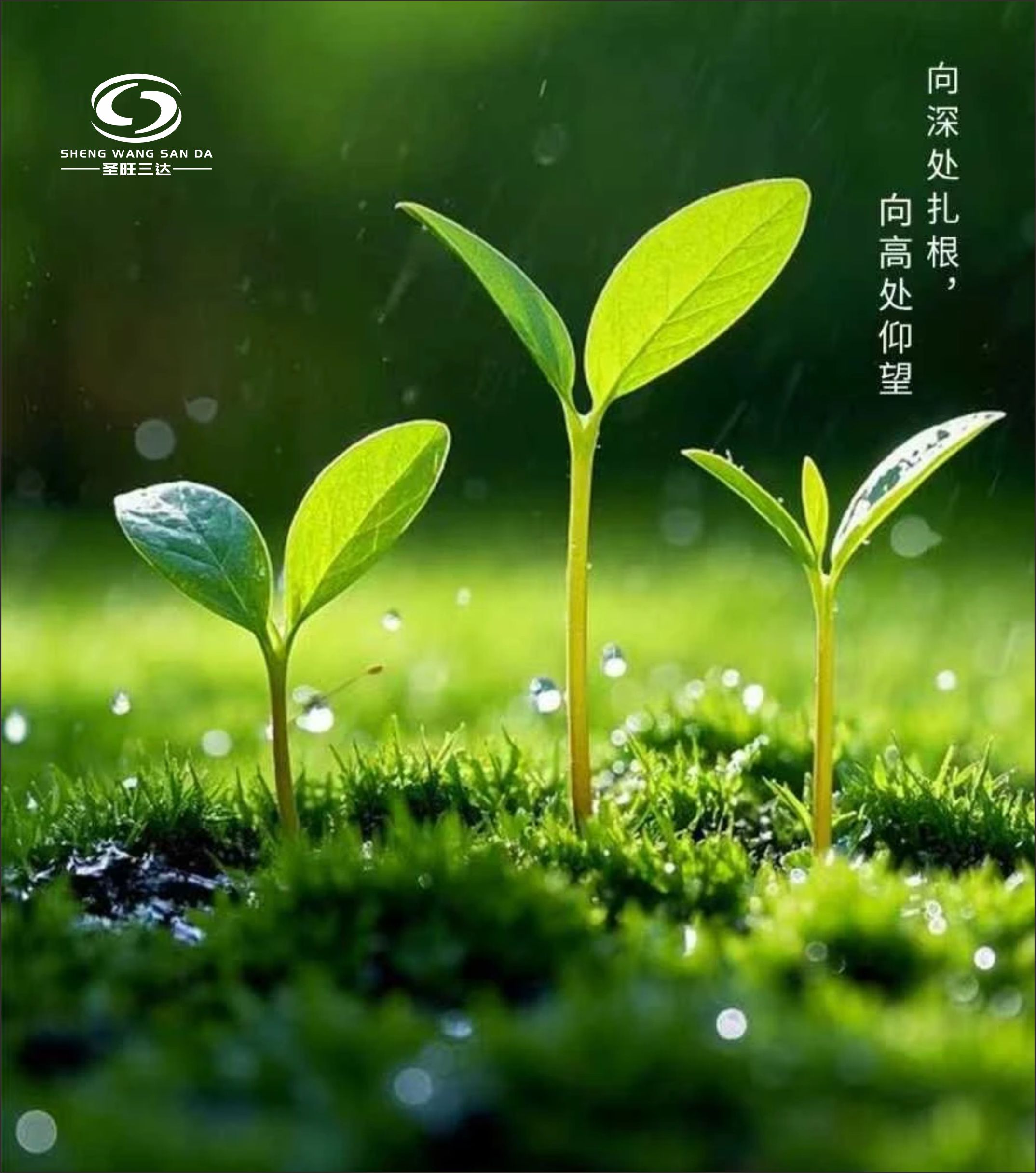欣欣向荣