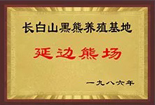 荣誉资质1