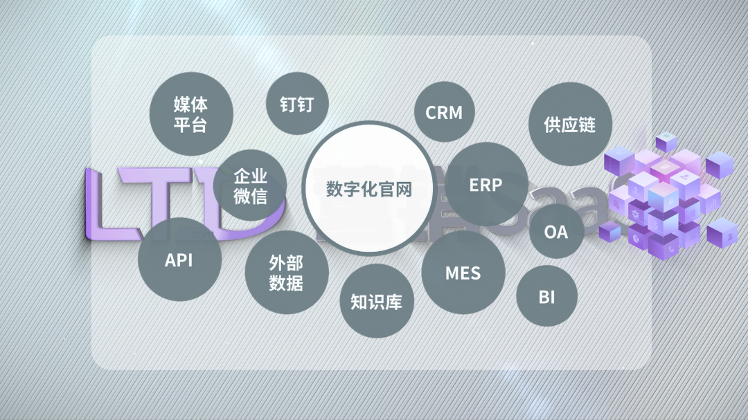 数字化官网.png