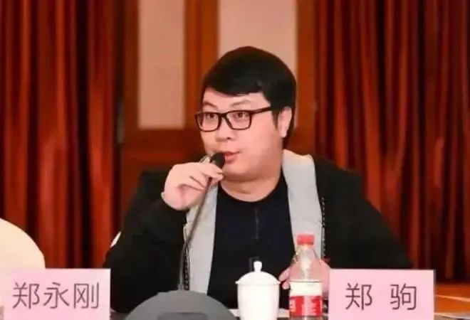 43岁后妈‘吃掉’34岁长子，千亿企业杉杉集团濒临崩盘 互联网坊间八卦 创业 微新闻 第5张