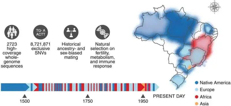 绘制巴西人口基因组图谱及其对医疗保健的影响
