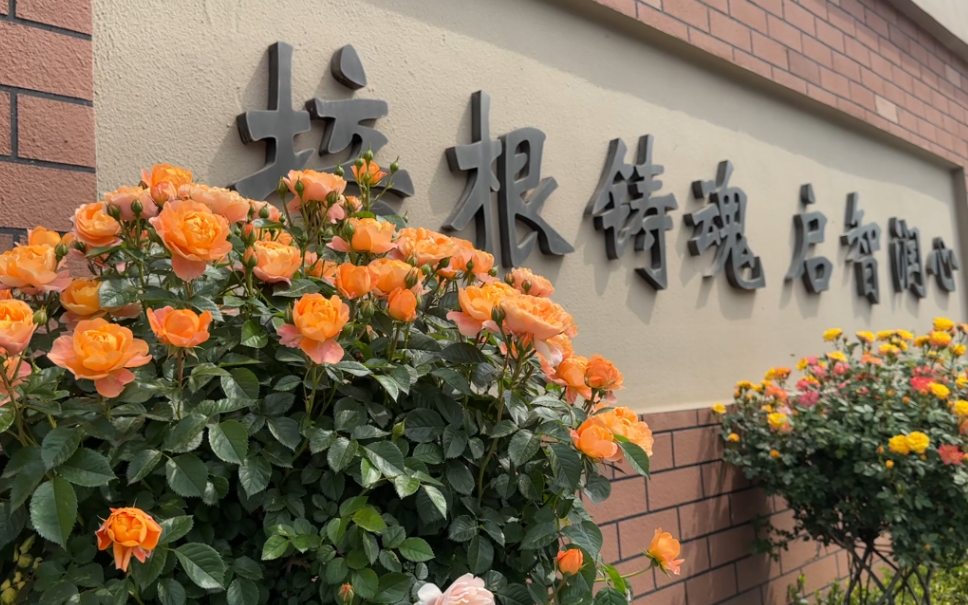 微信图片_20260127093021_953_78.png