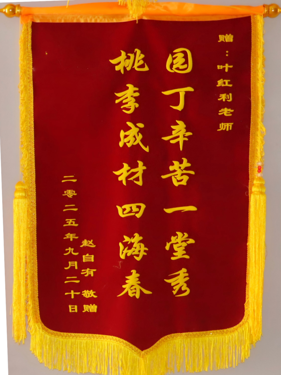 IMG_2384.png