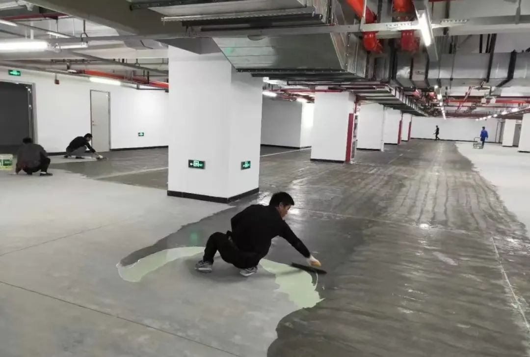 1111.jpg