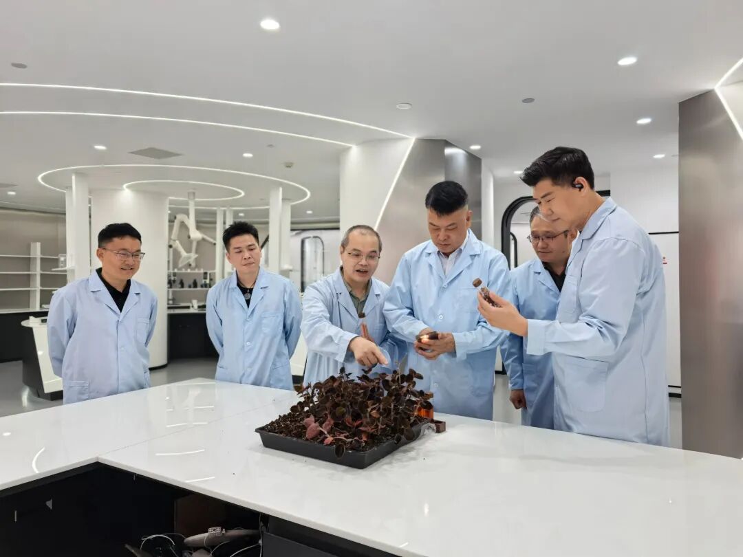 微信图片_20260429102516_196_456.jpg