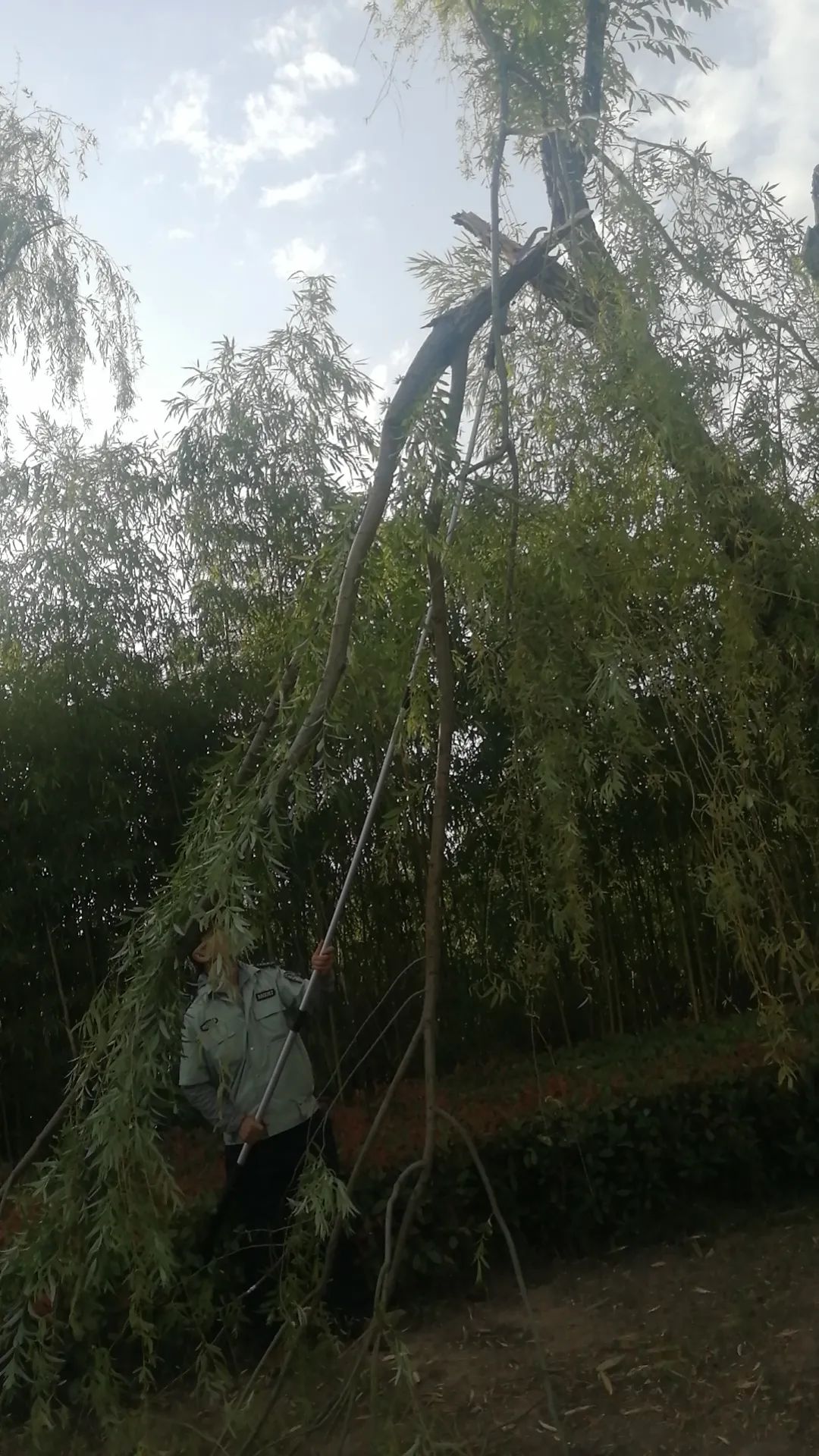 微信图片_20230626220633.jpg