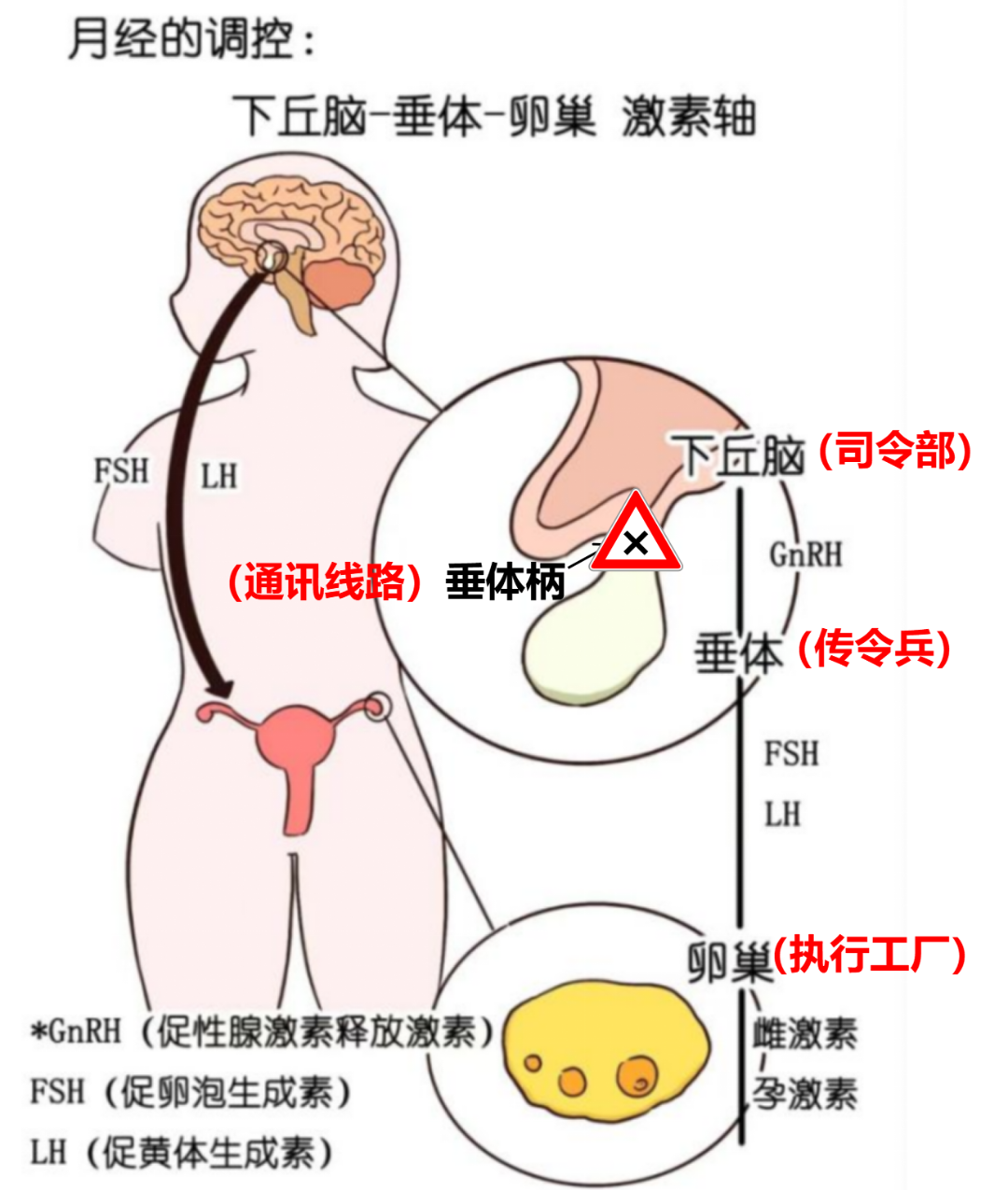 图片23.png