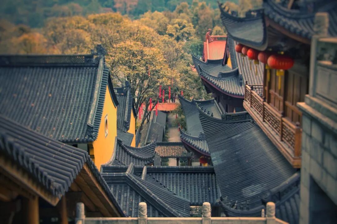 图虫创意-881503262601248797.jpeg