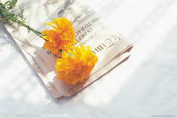 1476766940729971.jpg t0190da5c912ffbe7a6.jpg